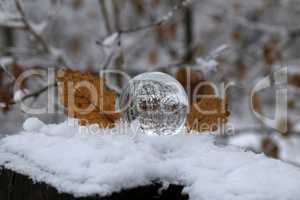 Winter forest through a transparent glass ball
