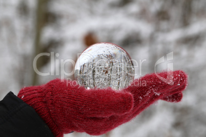 Winter forest through a transparent glass ball