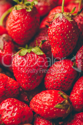 Background of ripe strawberry