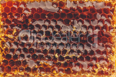 Macro of honeycomb background