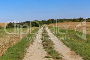 Summer Landscape with expensive and cleaned fields