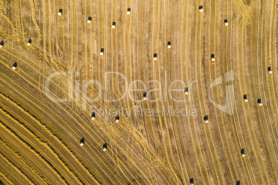 aerial of a empty field full of straw balls