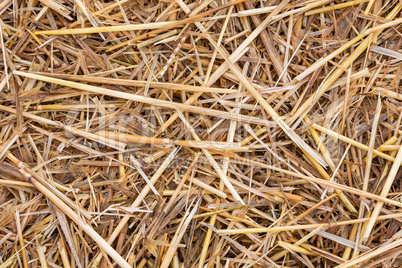 background detail of straw