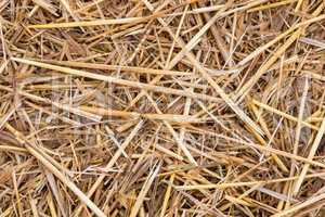 background detail of straw