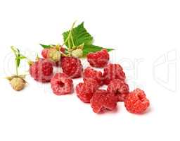 bunch of red ripe raspberries and green leaf on a white backgrou