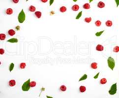 red ripe raspberries and green leaves scattered