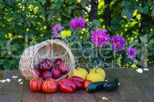 Autumn still life with apples, tomatoes, peppers, tsuhini