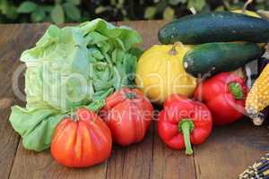 Autumn still life with fresh vegetables from the garden