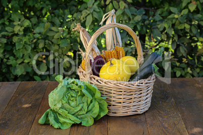 Autumn still life with fresh vegetables from the garden