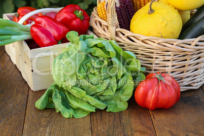 Autumn still life with fresh vegetables from the garden