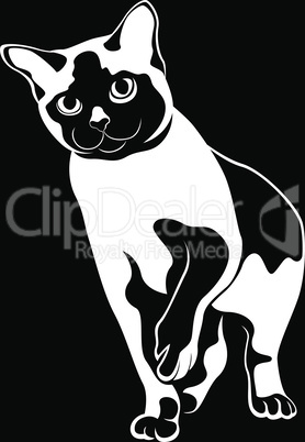 Black abstract cat stencil