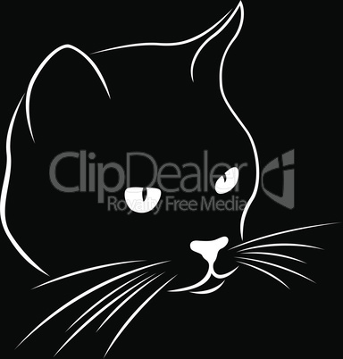 Stencil of a cat's muzzle looking