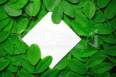 Paper with green leaves