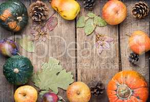 Autumn harvest still life