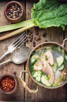 Soup with rhubarb and fish