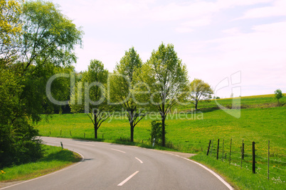 Road curve with trees