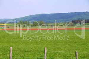 fields in the valley of Wittlich