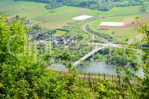 Lösnich on the Moselle