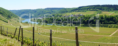 Moselle Valley with Briedel panorama