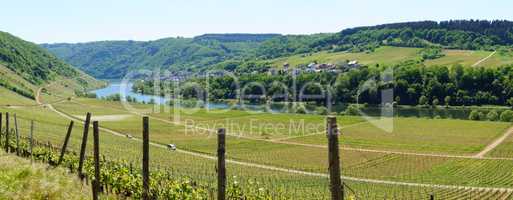 Moselle Valley with Briedel panorama