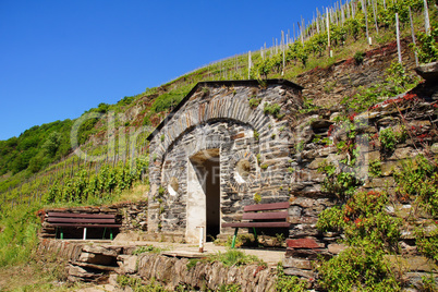 Shelter in the vineyard