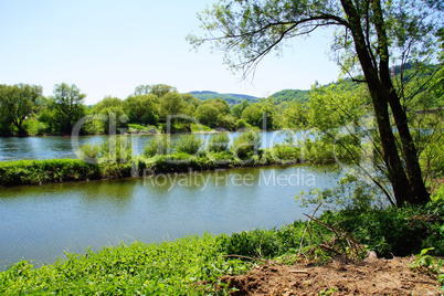 Moselle near Pünderich