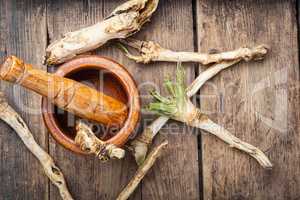 Horseradish on a wooden table