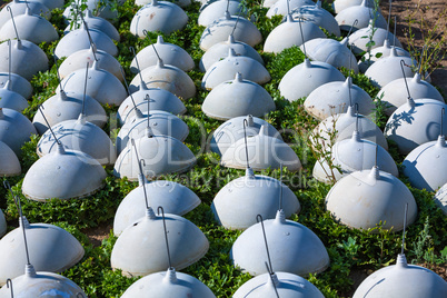 salat heads with protection on the field
