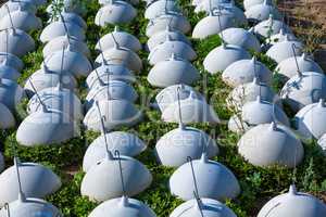 salat heads with protection on the field