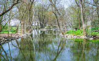 Lake in the reserve Askania-Nova in Ukraine
