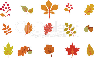 Autumn leaves set. Fall leaf nature icons over white background. Nature floral symbol collection
