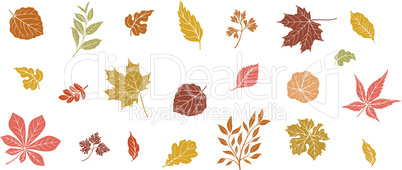Autumn leaves set. Fall leaf nature icons over white background.Nature symbol collection