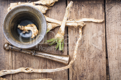 Horseradish on a wooden table
