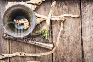 Horseradish on a wooden table