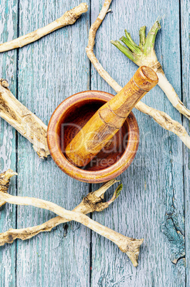 Horseradish on a wooden table