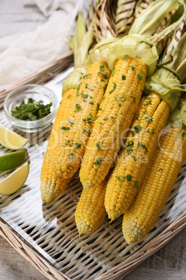 Corn on the cob grilled