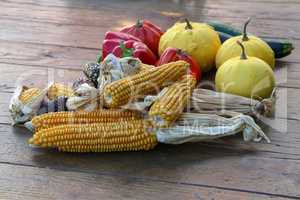 Still life. Autumn still life with golden corn cob