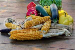 Still life. Autumn still life with golden corn cob