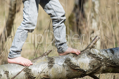Boy balancing on a tree with bare feet
