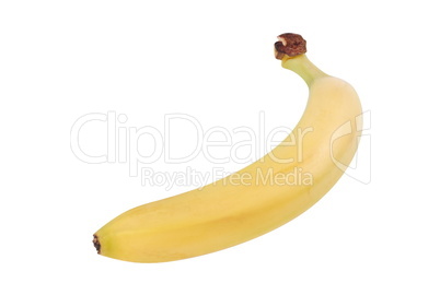 raw Yellow Banana Isolated