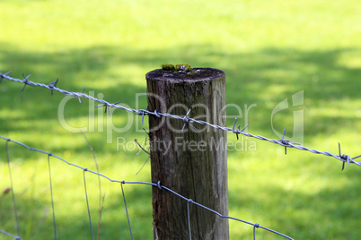 Fence post with barbed wire fencing on a green background