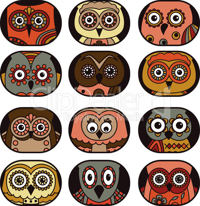 Twelve owl faces in oval shapes