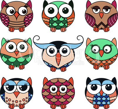 Nine funny owls in oval shapes