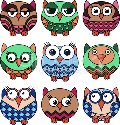 Nine funny various oval owls