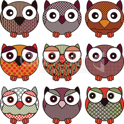 Nine funny and cute various oval owls