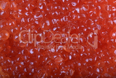 red caviar at day