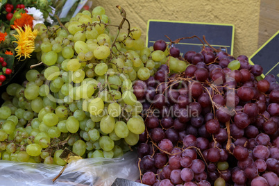 Bunches of grapes lie on the table