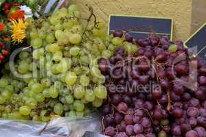 Bunches of grapes lie on the table