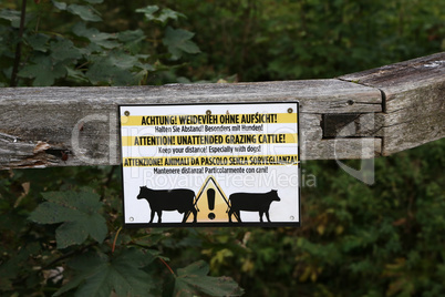 Attention - Unattended grazing Cattle. Keep your distance.