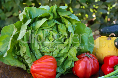 Fresh vegetables - green salad and red tomatoes